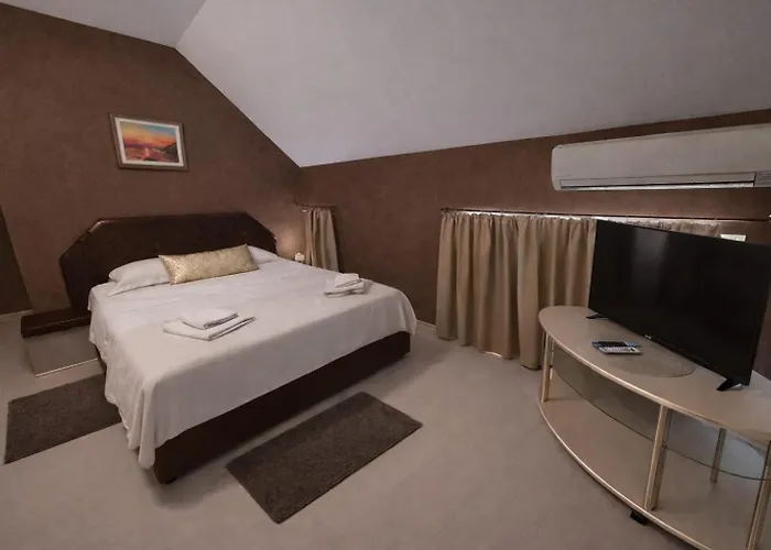 камелия Варна